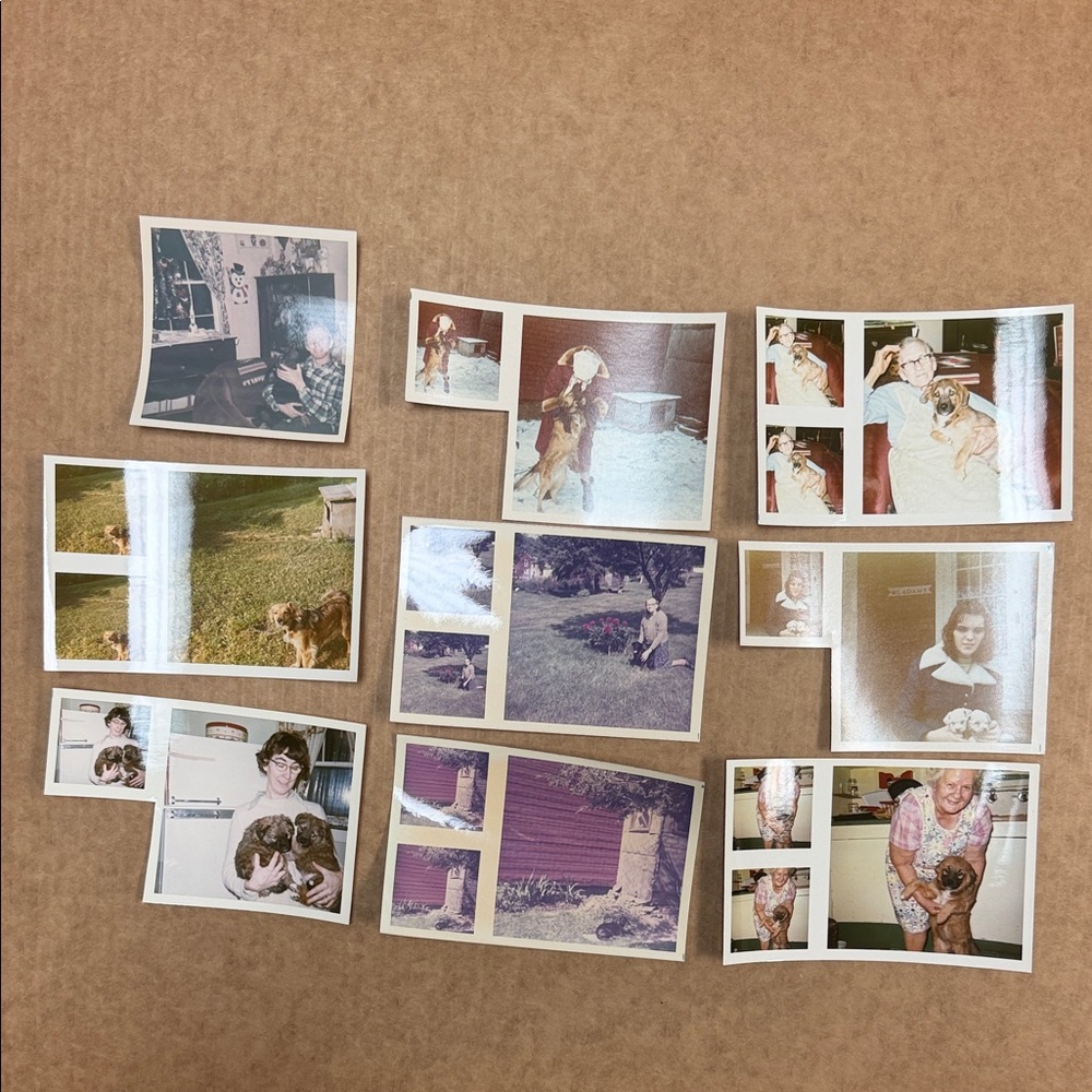 Vintage Family Photo Collection